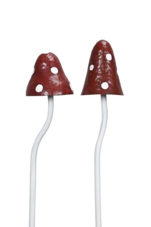 Paddenstoelen